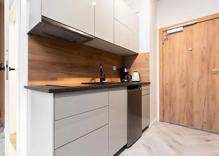 Flatbook - Center Waterlane Vintage With Gym Apartament Gdańsk